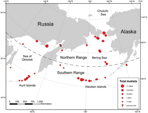 FIGURE 1. Map of current colonies of least and crested auklets including population estimates. The marked latitude line (56°N) represents an approximate boundary between the southern range (where disturbance processes affecting auklets are primarily volcanic) and the northern range (primarily mass movement).