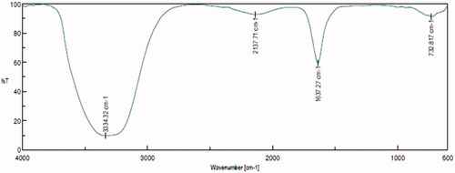 Figure 2. Fourier-transform infrared spectroscopy analysis of silver nanoparticles synthesized from Alpinia officinarum (lesser galangal) traditional Chinese medicinal plant (AG-AO).