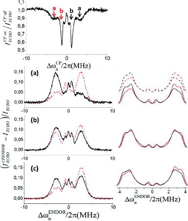 Figure 6. Experimental CP-ENDOR spectra of solid 1H-BDPA at RT (left) and corresponding simulations (right). Top: eNCP spectrum for ω1e/2π = 1.25 MHz showing the selected CP-RF offsets. Bottom: CP-ENDOR spectra recorded at the corresponding CP-RF offsets: Black and red curves are for pumping at negative and positive Δωn (CP), respectively. Spectrum in (c) is the reference (black) without CP-RF irradiation as compared to (a) in red. Exp. parameters: π/2MW: 200 ns; tCP = 50 μs; τd = 1 μs; τ = 500 ns; 1 shot/point; repetition time Tr = 10 ms; random acquisition mode; RT. CP-ENDOR spectra were simulated using the experimental delays and irradiation strength values for e–n–n spin system with hyperfine tensors having opposite signs: |A1| = [7.7 5.3 2] MHz and |A2| = [1 1 1.2] MHz in (a) dashed and solid lines correspond to the two tensors having same and opposite signs of the hyperfine coefficients, respectively. Relaxation parameters used in simulations are given in the main text.