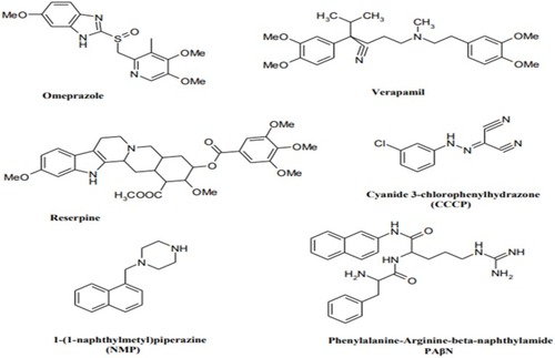 Figure 3 Structures of the main developed Efflux pump inhibitors.