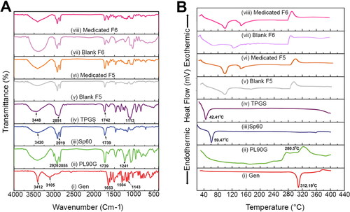 Figure 2. (A) Fourier transform infrared spectra and (B) Differential scanning calorimetry of (i) gen, (ii) PL90G, (iii) Sp60, (iv) TPGS, (v) blank F5, (vi) medicated F5, (vii) blank F6 and (viii) medicated F6. The FTIR spectra demonstrate that the characteristic peaks of gen are slightly shifted after drug encapsulation in Tfs. Both medicated and blank Tfs also retain the characteristic peaks of all the excipients without any major shifts which is indicative of the absence of any chemical interaction between different components. The DSC demonstrates the reduced lipid crystallinity after incorporation of gen in the lipid bilayer of Tfs. In addition, the similarity of blank and medicated Tfs confirm the physical involvement of gen in the Tf structure, molecular dispersion and solubilization.