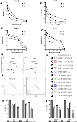 Figure 1 Cytotoxic effects of salinomycin (SAL) and sulforaphane (SFN) both separately and in combination on two colorectal cancer (CRC) cell lines (Caco-2 and CX-1) in vitro. (A and B) Effects of different concentrations of SAL (0, 2.5, 5, 10, 20, 40, 80 μM) on the viability of CRC cells after 24, 48 and 72 h of treatment. (C and D) Effects of different concentrations of SFN (0, 5, 10, 20, 40, 60, 80, 100 μM) on the viability of colorectal cancer cells after 24, 48 and 72 h of treatment. (E, F and G) The combination index (CI) values were calculated according to Chou-Talalay’s method by CompuSyn software at the 24-h point and plotted with the percent of inhibition as the fraction affected (Fa) cells. Fa-CI plot analysis of the effect of the SAL and SFN combination treatment on Caco-2 and CX-1 cell viability was conducted. Each symbol was assigned a CI value for each Fa at twelve different combination ratios. CI values < 1 indicate drug synergism, CI values = 1 indicate an additive effect, and CI values > 1 indicate antagonism. A normalized isobologram for the combination of SAL and SFN was created. Each symbol represents a different combination ratio. A point above the line is antagonistic, a point on the line is additive, and a point below the line is synergistic. (H and I) Effects of 5 μM SAL, 10 μM SFN and the combination of both treatments on Caco-2 and CX-1 cell viability after 24 h (H) and 48 h (I) of treatment, as measured by the MTT assay. *P < 0.05, **P < 0.01, ***P < 0.001 (compared to control); ###P < 0.001 (compared to SFN treatment alone); &&P< 0.01, &&&P < 0.001 (compared to SAL treatment alone).
