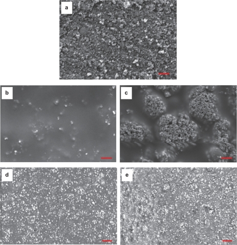 Figure 2 SEM micrographs of nano-titania and nano-titania/PLGA composites: (a) nano-titania, (b,c) PTCa (the agglomerated nano-titania in PLGA composites), (d,e) PTCd (the well-dispersed nano-titania in PLGA composites). (b,d) the top surface, (c,e) the bottom surface. Magnification bars: 1 μm.