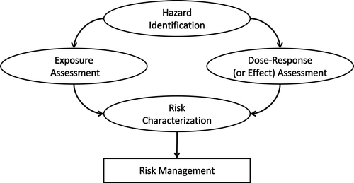 Figure 2. The risk assessment process consists of hazard identification, dose–response assessment, exposure assessment and risk characterization.