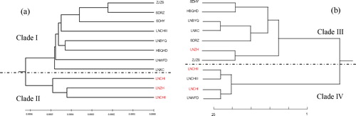 Figure 2. Dendrograms based on genetic distances of Glehnia littoralis populations. Phylogenetic tree based on ITS sequences (a) and RAPD (b).