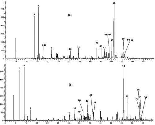 Figure 2. Chromatographic profile on apolar column (a) and polar column (b) of T. luteum subsp. flavovirens EO
