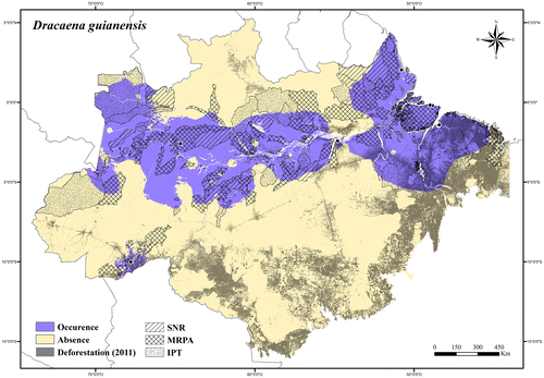 Figure 104. Occurrence area and records of Dracaena guianensis in the Brazilian Amazonia, showing the overlap with protected and deforested areas.