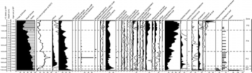 Figure 3 Selected pollen and spore percentages and macrofossil concentrations from Trettetjørn. The data are presented on a depth basis with a calibrated age scale. Pollen is presented as % of total land pollen (solid silhouettes). The open silhouettes denote a 10× exaggeration of the percentage values. Macrofossils are presented as numbers per 25 cm3 of sediment as histograms. Sphagnum leaves, Drepanocladus, and Nitella are given in abundance categories. Pollen zones (P-) are shown in the right-hand column.