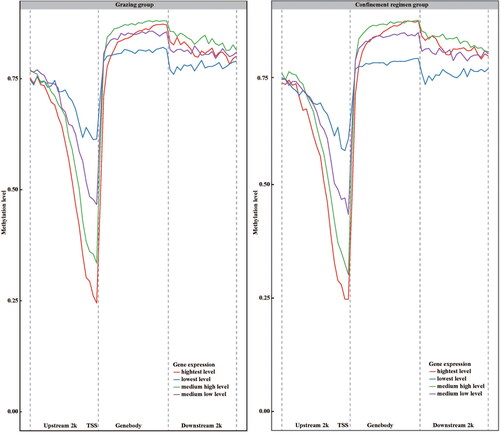 Figure 3. Genome-wide DNA methylation distribution of LBG under grazing and confined feeding conditions.