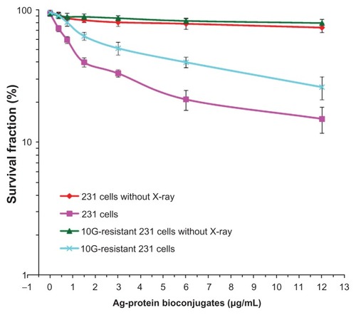 Figure 7 Survival curves of different strains of 231 cells at different Ag-protein bio-conjugate concentrations, contrasting those with/without X-ray irradiation. Clearly, the combined used of both Ag-protein bio-conjugates and X-ray did enhance the irradiation to cancer cells.Notes: Means ± standard deviation; n = 3.