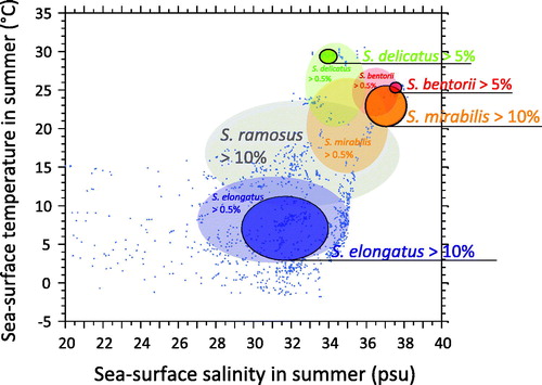 Figure 8. Schematic illustration of the hydrographical domain for the main Spiniferites taxa. The ellipses correspond to the average ± one standard deviation of the summer temperature and salinity at sites where Spiniferites bentorii, Spiniferites delicatus, Spiniferites elongatus and Spiniferites mirabilis-hyperacanthus occur (>0.5%) and are common-dominant (>10% for all, except Spiniferites bentorii >5%). The central transparent ellipse corresponds to the average ± one standard deviation of the summer temperature and salinity at sites where Spiniferites ramosus is common or dominant (>10%). Numerical results for averaged environmental parameters corresponding to occurrences of the Spiniferites taxa are presented in table 3.