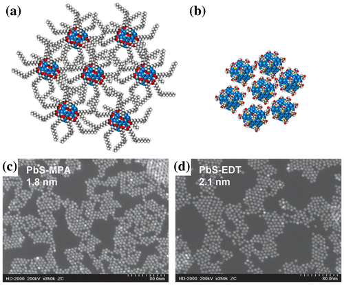 Figure 13. Representation of steric spacing between CQDs when using (a) oleic acid or (b) 3-mercaptopropionic acid. Colour codes are as follows: oxygen: red, carbon: grey, hydrogen: white and sulfur: yellow. Scanning transmission electron microscopy images of CQDs after MPA (c) and EDT (d) ligand exchange. Reprinted with permission from [Citation115]. Copyright 2012 American Chemical Society.