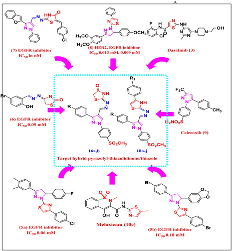 Figure 2. Structural hyperdization of designed compounds from EGFR inhibitor Dasatinib (3), reported EGFR inhibitor Pyrazolyl-thiazole (5a,b), reported EGFR inhibitor Hydrazono-thiazole (6), reported EGFR inhibitor pyrazolyl-thiazolidinone, reported HER2 and EGFR inhibitor Pyrazolyl-thiazole (8), COX-2 inhibitors Celecoxib (9) and Meloxicam (10c).
