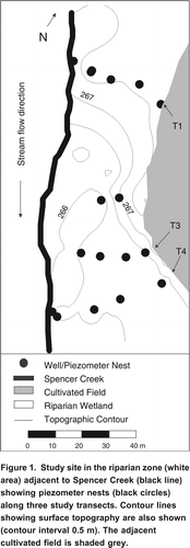 Figure 1. Study site in the riparian zone (white area) adjacent to Spencer Creek (black line) showing piezometer nests (black circles) along three study transects. Contour lines showing surface topography are also shown (contour interval 0.5 m). The adjacent cultivated field is shaded grey.