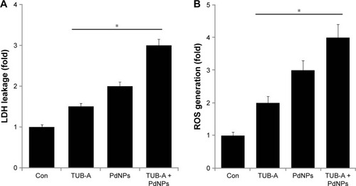 Figure 6 Cytotoxicity effects of TUB-A or PdNPs alone or in combination on MDA-MB-231 human breast cancer cells.Notes: The cells were treated with TUB-A (4 μM), PdNPs (4 μM), or a combination of both (at 4 μM each) for 24 h. (A) Lactate dehydrogenase (LDH) activity was measured at 490 nm, using LDH cytotoxicity kit (Sigma-Aldrich, St Louis, MO, USA). (B) Reactive oxygen species (ROS) was measured (as the relative fluorescence of 2′,7′-dichlorofluorescein) with a spectrofluorometer. The results are expressed as mean ± standard deviation of three separate experiments. The treated groups showed statistically significant differences from the control group, as determined by Student’s t-test (*P<0.05).Abbreviations: Con, control; TUB-A, tubastatin-A; PdNPs, palladium nanoparticles.