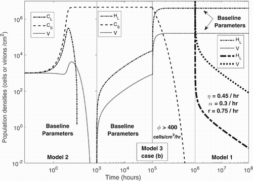 Figure 5. Population dynamics of phage-bacteria interaction in Models 2, 3 (case (b)) and 1. Three Vertical lines are drawn to separate the simulations of the models into four panels. Model 2 is simulated for baseline parameters in the first panel, Model 3 (case (b)) is first simulated for baseline parameters and then simulated after an increase in φ in the second and third panels respectively. In the fourth panel, simulations of Model 1 are presented for baseline parameters (top two curves) and for varied parameters based on possible therapy, i.e. η=0.45, α=0.3 and r=0.75, (bottom two curves with increased line-width). The dashed lines represent CS, dash-dot lines represent CL in Model 2, and HL in Model 1 and 3, whereas dots symbolize the population density of phage V.