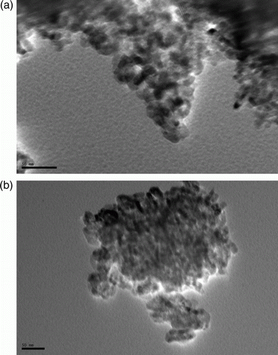 Figure 4.  (a) TEM image of fresh nanoparticles. (b) TEM image of recycled nanoparticles.