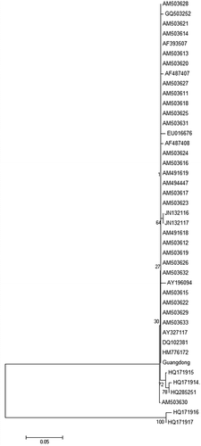 Fig. 3. Phylogenetic tree for Potato mop-top viurs (PMTV) isolates. The partial PMTV RNA3 sequence (nucleotides 360 to 819) of PMTV isolate “Guangdong” were analyzed with the sequences of PMTV retrieved from GenBank by employing MEGA version 4.2 with the neighbor-joining (NJ) method (Tamura et al., Citation2007). The numbers beside branches are bootstrap values of 100 replicates.