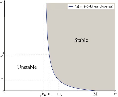 Figure 2. Stability region of (θμ,0) with respect to m and ν for linear dispersal.