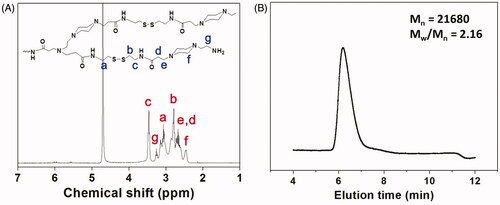 Figure 1. (A) 1H NMR spectrum of HPAA (25 °C, D2O). (B) GPC trace of HPAA (37 °C, aqueous 0.8 mol/L NaNO3).