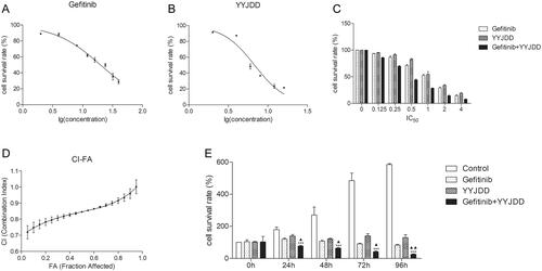 Figure 2. There was a moderate synergistic effect between gefitinib and YYJDD to inhibit the growth of H1975 cells. (A) H1975 cells were treated with different concentrations of gefitinib (2, 4, 8, 12, 16, 24, 32, 40 μM) for 24 h. Then, the cell viability was measured by MTT assay and IC50 of gefitinib was calculated. (B) H1975 cells were exposed to different concentrations of YYJDD (2, 4, 6, 8, 12, 16 mg/mL) for 24 h. Then, the cell survival rate was tested by MTT assay and IC50 of YYJDD was calculated. (C) H1975 cells were exposed to gefitinib, YYJDD, and combination treatment at the doses of 0.125, 0.25, 0.5, 1, 2, and 4 times IC50 values. Then, MTT assay was performed to evaluate the viability of cells. (D) Combined Index (CI) values at different levels of growth inhibition effect (fraction affected, FA) were calculated by Calcusyn software to analyse the synergism between gefitinib and YYJDD. (E) H1975 cells were exposed to gefitinib, YYJDD, and combination treatment for 24, 48, 72, and 96 h. MTT assay was applied to assess the cytotoxicity. Data were represented as mean ± SD. All experiments were done in triplicate. ***p < 0.001 compared with control, ▲p < 0.05, ▲▲p < 0.01 compared with gefitinib.