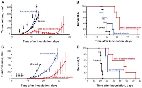 Figure 6 Comparative efficacy of photodynamic therapy with bacteriochlorin p conjugated with DTox-HMP-NLS-αMSH MNT and free bacteriochlorin p. (A–B) C57 black/6J mice with subcutaneous B16-F1 murine melanoma. (A) Tumor growth, mean ± SEM; average tumor volumes are shown up to the last day when all animals were alive. (B) Kaplan-Meier survival curve. (C–D) DBA/2 mice with subcutaneous Cloudman S91 murine melanoma. (C) Tumor growth, mean ± SEM; average tumor volumes are shown up to the last day when all animals were alive. (D) Kaplan-Meier survival curve.Notes: Arrows indicate injection and illumination cycles; bars represent the mean ± SEM.Abbreviations: MNT, modular nanotransporter; DTox, translocation domain of diphtheria toxin; HMP, the Escherichia coli hemoglobin-like protein; NLS, nuclear localization sequence; αMSH, α-melanocyte stimulating hormone; SEM, standard error of the mean.