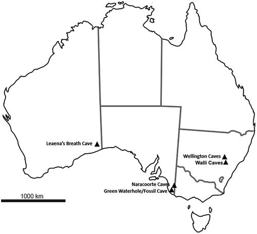 Fig. 1. Map of Australia showing the locations of Leaena’s Breath Cave, Naracoorte Caves, Green Waterhole/Fossil Cave, Wellington Caves and Walli Caves.
