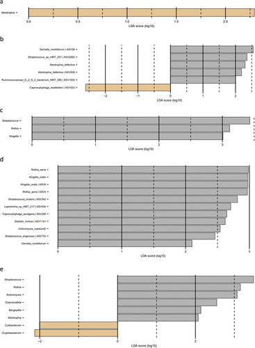 Figure 5.  Cytokines, protease activity, and albumin between groups at each timepoint. Levels of a: IL-1β, b: IL-8, c: MIF, d: MCP-1, e: amylase activity, f: chitinase activity, g: total protease activity, and h: albumin levels in slow (green), moderate (blue), and rapid responders (orange) at baseline (T1), day 14 (T2), and day 28 (T3). Bars represent mean values. Comparisons between groups at each timepoint were carried out on log10-transformed values via one-way ANOVA with Tukey’s correction for multiple testing. **p < 0.01.