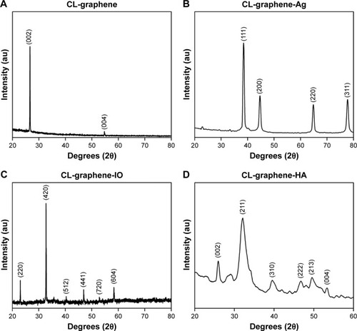 Figure 3 XRD patterns of (A) CL-graphene, (B) CL-graphene-Ag, (C) CL-graphene-IO and (D) CL-graphene-HA.Abbreviations: XRD, X-ray diffraction; CL, collagen; Ag, silver; IO, iron oxide; HA, hydroxyapatite.