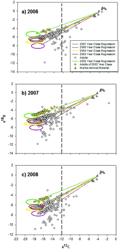 FIGURE 4 Linear regressions between the δ18O and δ13C signatures of juvenile otolith cores of American shad in the York River (year-classes indicated by 95% confidence ellipses) and marine-derived material from the outer portions of the otoliths. The regressions are specific to the year-classes. The δ18O and δ13C signatures are from fish collected during their spawning migrations in (a) 2006, (b) 2007, and (c) 2008; each circle represents one fish. Adults identified by their isotope signature as members of the 2002 year-class are indicated by yellow circles. The vertical dashed lines separate the plots at the δ13C value of –12.0‰; adults with δ13C values greater than that were not included in the analyses.