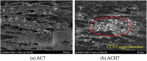 Figure 17. SEM images of CCNT-doped Nafion membrane without and with hot pressing.