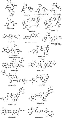 Figure 1. The structure of lignin compounds in Arctium lappa L.