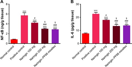 Figure 11 Effects of naringin oral pretreatment on ethanol-induced cytokines expression in comparison with normal and positive control groups using ELISA.Notes: (A) NF-κB and (B) IL-6. Data are mean ± SD, n=6. **P<0.01, and ***P<0.001 vs normal control group. #P<0.05 and ###P<0.001 vs positive control group. $P<0.05 vs 100 mg/kg naringin pretreated group.Abbreviations: ELISA, enzyme-linked immunosorbent assay; IL-6, interleukin-6; NF-κB, nuclear factor kappa-light-chain-enhancer of activated B cells; PF68, pluronic F68.