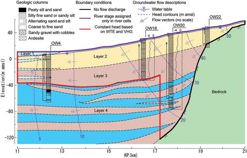 Figure 2. Geological cross-section of the fan subsurface. Inverted open triangles denote piezometric heads in the drought period for analysis. Colours except dark blue (deeper fine deposits in Layer 4) correspond to those in Fig. 1. Profiles of the common logarithm of K at OW18 and 20 are obtained from an undisturbed core analysis in Sakata and Ikeda (Citation2013b).