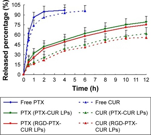 Figure 3 The release profile of free PTX, free CUR, PTX-CUR LPs and RGD-PTX-CUR LPs from release medium (50%, v/v, of ethanol) at 37°C in a shaking water bath at 75 rpm (n=6).Abbreviations: PTX, paclitaxel; CUR, curcumin; LPs, liposomes; RGD, arginine, glycine, aspartic acid peptide.