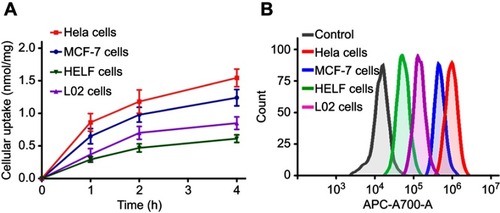 Figure 3 Cellular uptakes of PDA-FA-Pc nanomedicine in FRs overexpressed tumor cell lines (Hela, MCF-7) and healthy cell lines (HELF, L02) by fluorescence analysis (A) and flow cytometric analysis (B).