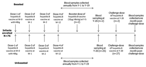 Figure 2. Study design. This paper will not present the data on subjects boosted at Year-5 for long-term persistence since number of subjects in this group were low (n = 2), and these results do not provide any clinically relevant information. N, number of subjects in the LT-ATP cohort; N*, number of subjects in the ATP cohort for the challenge phase.