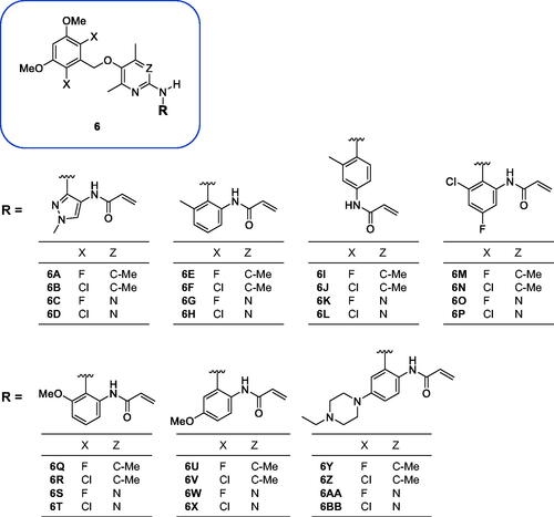 Figure 2. New compounds designed and synthesised for this study.