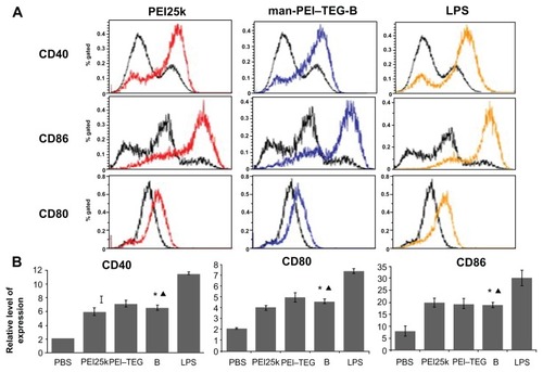 Figure 9 Expression of maturation surface markers (CD40, CD80, and CD86) in BMDCs treated with PEI/DNA complexes. PEI/DNA complexes were prepared at their optimal N/P ratio, and cells treated with PBS and LPS were used as the negative and positive controls, respectively. (A) A representative set of flow cytometry histograms. Black line: cells treated with PBS. (B) Normalized expression level of maturation markers. The data were represented as mean ± standard deviation (SD) of three independent experiments (n = 3).Notes: ★P < 0.01, vs the group of PBS and LPS; ▴P > 0.05, vs the group of PEI25k and PEI–TEG.Abbreviations: PEI, polyethyleneimine; TEG, triethyleneglycol; PEI-TEG, polyethyleneimine and triethyleneglycol polymer; man-PEI-TEG-B, mannosylated PEI-TEG derivative B; PEI25k, polyethyleneimine with a molecular weight of 25 kD; DC, dendritic cells; BMDC, Murine bone marrow-derived DCs; LPS, lipopolysaccharide; SD, standard deviation.
