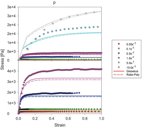Figure 8. Comparison of Giesekus and Rolie-Poly models (two modes) for transient shear stress-strain curves (continuous lines – Giesekus; dashed lines – Rolie-Poly; discrete points – experimental data)