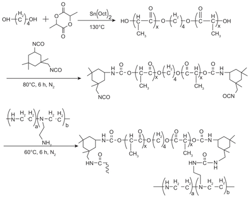 Figure 1 Synthesis scheme of poly(ester amine) from L-lactide and polyethylenimine.