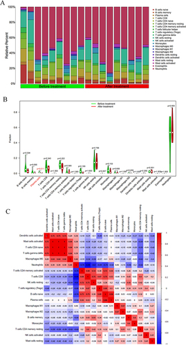 Figure 5 Immune correlation analysis. (A) Bar chart showing the immune infiltration analysis results in the Before treatment VS After treatment groups; (B) Violin chart showing the immune infiltration analysis results in the Before treatment VS After treatment groups (Cells with p < 0.05 have shown red color); (C) Heat map showing the correlation between immune cells.