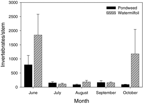 Figure 4 Monthly mean invertebrate density (± 1 SE) per stem within American pondweed stands and Eurasian watermilfoil stands in Cedar Lake.