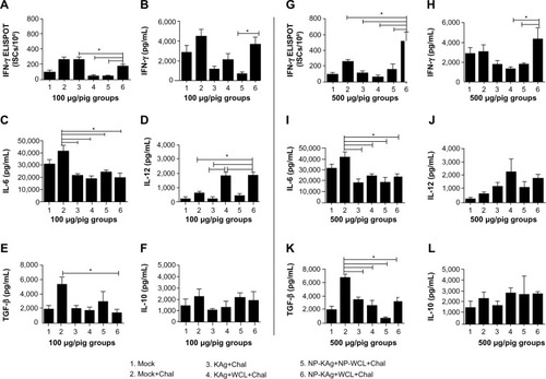 Figure 4 Enhanced frequency of IFN-γ secreting cells (A and G) and upregulated production of Th1 (IFN-γ and IL-12) and reduced immunosuppressive cytokines (TGF-β and IL-10) in pigs vaccinated with adjuvanted NP-KAg vaccine (B–F and H–L).Notes: Pigs were vaccinated or unvaccinated with indicated vaccine and the adjuvant combination and challenged with PRRSV MN184. LMNCs isolated on the day of necropsy were restimulated with killed MN184 Ags and the frequency of ISCs was measured by ELISPOT (A and G). Lung homogenates were analyzed for: IFN-γ (B and H); IL-6 (C and I); IL-12 (D and J); TGF-β (E and K); and IL-10 (F and L) by ELISA. Each bar indicates the average number of ISCs per million LMNCs or average of indicated cytokine amounts from three pigs ± standard error of mean. Asterisk indicates statistically significant (P<0.05) difference between the two indicated pig groups.Abbreviations: Chal, challenge; ELISA, enzyme-linked immunosorbent assay; ELISPOT, enzyme-linked immunospot assay; IFN-γ, interferon gamma; IL, interleukin; ISCs, interferon gamma secreting cells; KAg, killed/inactivated antigen; LMNCs, lung mononuclear cells; NP-KAg, nanoparticle-entrapped killed antigen; NP-WCL, nanoparticle-entrapped whole-cell lysate of M. tb; PRRSV, porcine reproductive and respiratory syndrome virus; TGF-β, transforming growth factor beta; Th1, T helper type 1; WCL, whole-cell lysate of M. tb; M. tb, Mycobacterium tuberculosis.