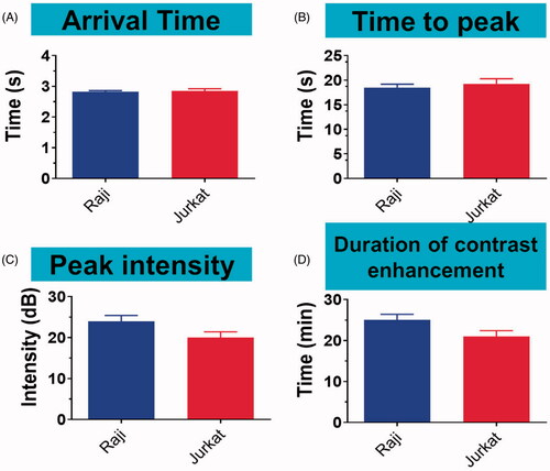 Figure 7. PDM arrival time, time to peak, peak intensity, and duration of contrast enhancement in Raji and Jurkat cell-grafted mice. PDM arrival times and times to peak were the same in Raji and Jurkat cell-grafted mice. PDM peak intensities and contrast enhancement durations were greater in Raji cell-grafted mice than in Jurkat cell-grafted mice. Data are represented as means ± SD (n = 3). *p < .05, #p > .05.