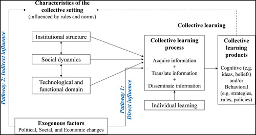 Figure 1. The collective learning framework of Heikkila and Gerlak (Citation2013), with two pathways of influence of exogenous factors identified.