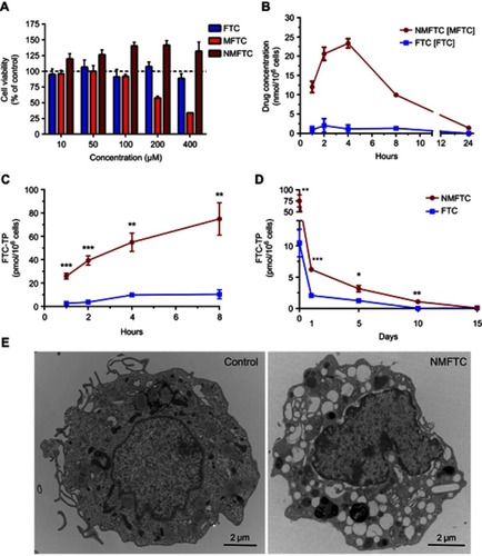 Figure 3 NMFTC in vitro characteristics. (A) Cytotoxicity was assessed in MDMs by MTT assay after 4 days of treatment with FTC or MFTC or NMFTC over a range of concentrations (10–400 µM). Results were normalized to untreated control cells. (B) Drug uptake in MDMs was measured over 24 hrs showing higher NMFTC uptake compared to FTC reaching high peak after 4 hrs. Intracellular FTC-TP concentrations demonstrate higher (C) uptake of NMFTC over 8-hr period, and longer (D) retention after 8-hr exposure for up to 10 days as compared to FTC. (E) TEM showing an MDM loaded with NMFTC (white clusters) after 4-hr exposure. Results in (A), (B), (C) and (D) are shown as mean±SD, n=3; *P≤0.05, **P≤0.01, ***P≤0.001.Abbreviations: MDM, monocyte-derived macrophage; FTC, emtricitabine; NMFTC, nanoparticle of modified FTC prodrug; TEM, transmission electron microscopy; CCK-8: cell counting kit-8.