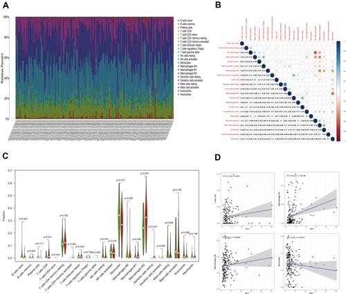 Figure 8 TIC profile in tumor samples and correlation analysis, Correlation between the expression of IRF7 and TICs in LGG samples. (A and B) The proportion and correlation of 22 types of TICs in LGG tumor samples. (C) The differentiation ratio of 22 types of immune cells between LGG tumor samples with low or high IRF7 expression, relative to the median IRF7 expression level. (D) The correlation of 4 types of TICs with IRF7 expression (P<0.05).