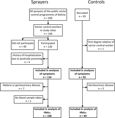 FIGURE 1. Summary of participant recruitment and exclusion.