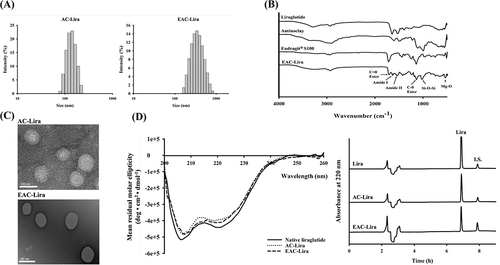 Figure 2 In vitro characterization of aminoclay-based nanoparticles. (A) Size distribution of nanoparticles, (B) FT-IR spectra, (C) TEM images. Scale bar is 200 nm for AC-Lira and 500 nm for EAC-Lira, (D) CD spectra (left) and HPLC chromatograms (right) of liraglutide released from each formulation after incubation at pH 7.4 for 8 h.